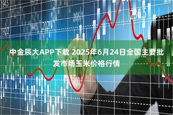 中金辰大APP下载 2025年6月24日全国主要批发市场玉米价格行情