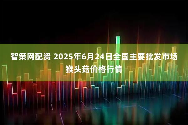 智策网配资 2025年6月24日全国主要批发市场猴头菇价格行情