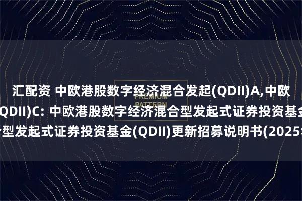 汇配资 中欧港股数字经济混合发起(QDII)A,中欧港股数字经济混合发起(QDII)C: 中欧港股数字经济混合型发起式证券投资基金(QDII)更新招募说明书(2025年7月)