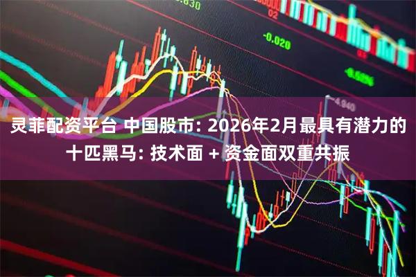 灵菲配资平台 中国股市: 2026年2月最具有潜力的十匹黑马: 技术面 + 资金面双重共振