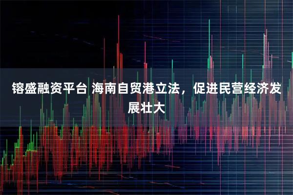 镕盛融资平台 海南自贸港立法，促进民营经济发展壮大
