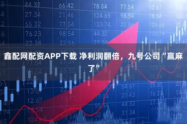 鑫配网配资APP下载 净利润翻倍，九号公司“赢麻了”