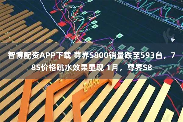 智博配资APP下载 尊界S800销量跌至593台，78S价格跳水效果显现 1月，尊界S8